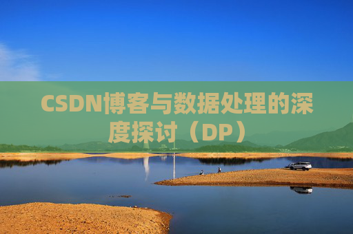 CSDN博客与数据处理的深度探讨（DP）